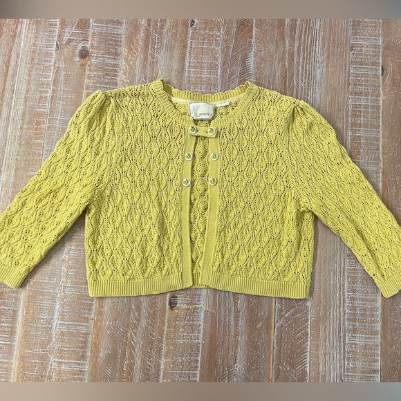 guinevere Sweaters - Guinevere Cropped Sweater